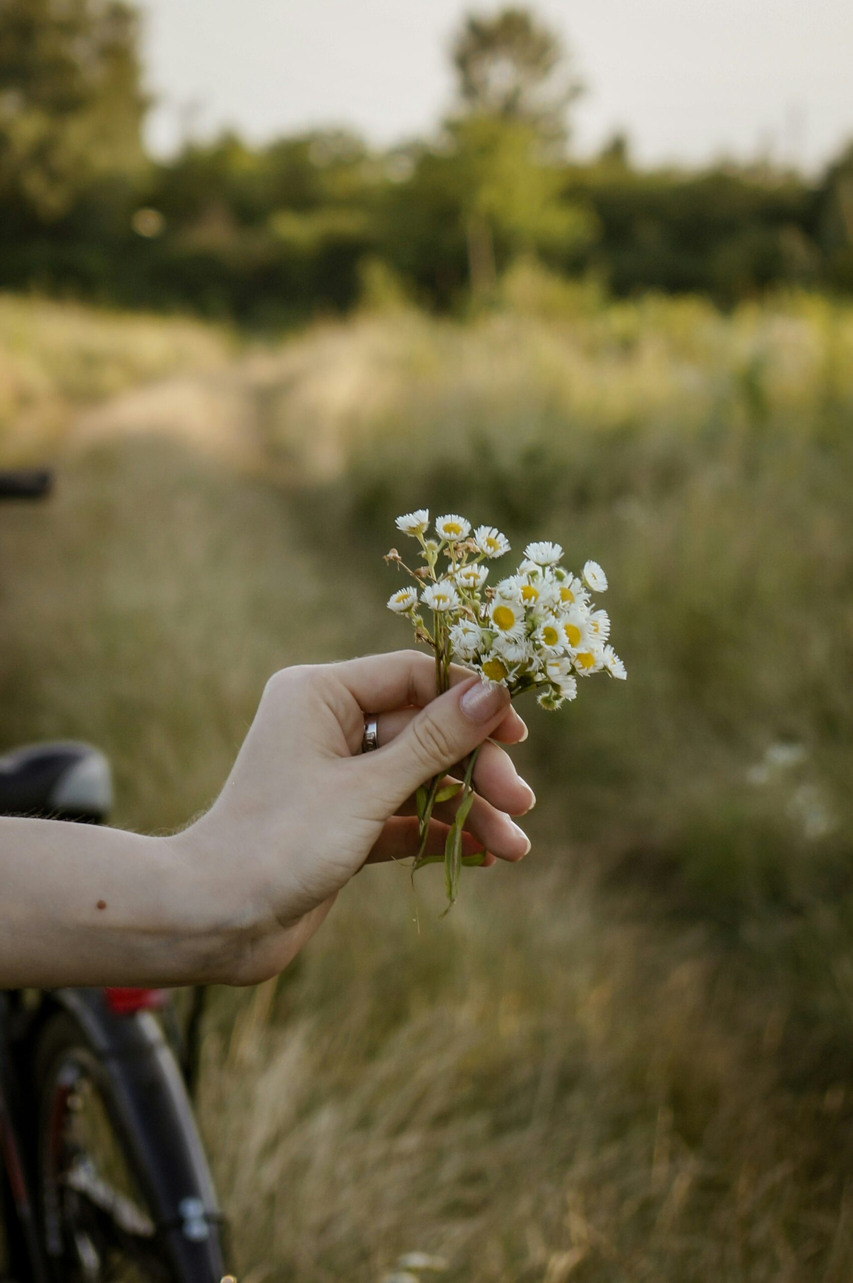 slow life